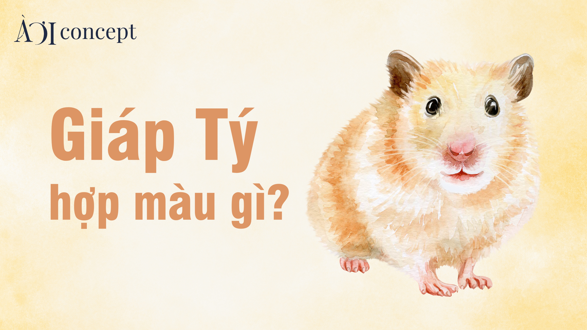 Ứng dụng màu sắc hợp phong thủy cho tuổi Giáp Tý 1984 mệnh Kim trong cuộc sống.